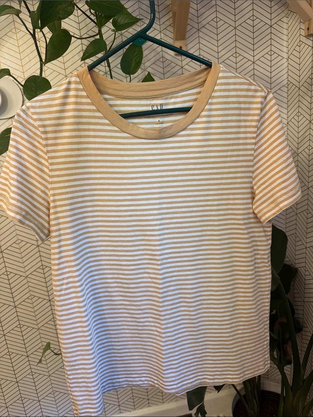 GAP Organic Cotton Women's Cream & Tan Striped Short-Sleeve Tee
